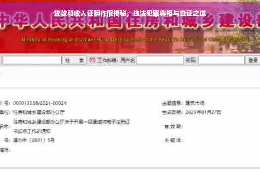 贷款和收入证明作假揭秘，违法犯罪真相与查证之道