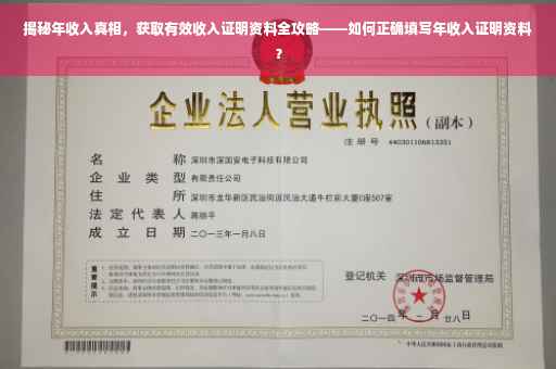 揭秘年收入真相，获取有效收入证明资料全攻略——如何正确填写年收入证明资料？