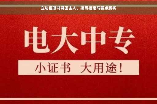 立功证明书寻回主人，撰写指南与要点解析