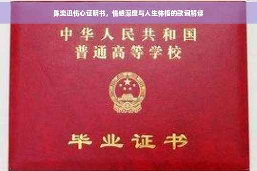 陈奕迅伤心证明书，情感深度与人生体悟的歌词解读
