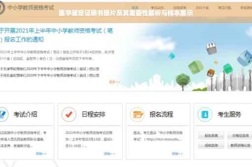 医学鉴定证明书图片及其重要性解析与样本展示