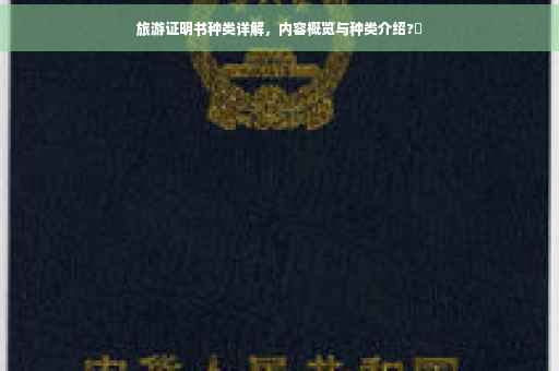 旅游证明书种类详解，内容概览与种类介绍?✨