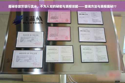 揭秘非放贷银行流水，不为人知的秘密与真相详解——查询方法与真相揭秘??