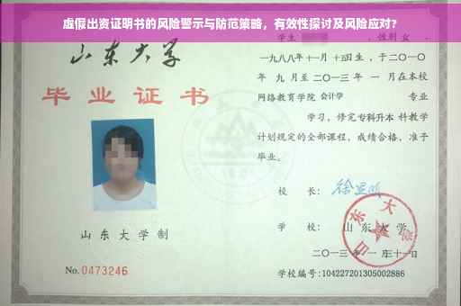 虚假出资证明书的风险警示与防范策略，有效性探讨及风险应对?