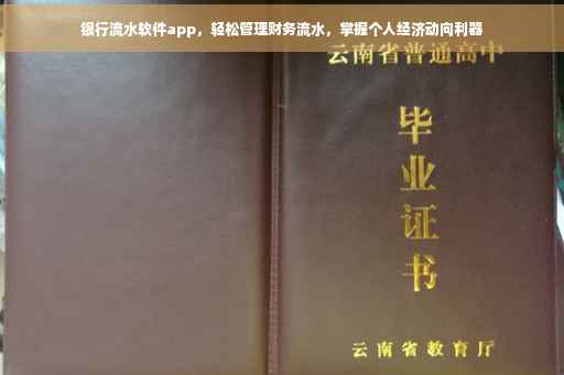 银行流水软件app，轻松管理财务流水，掌握个人经济动向利器