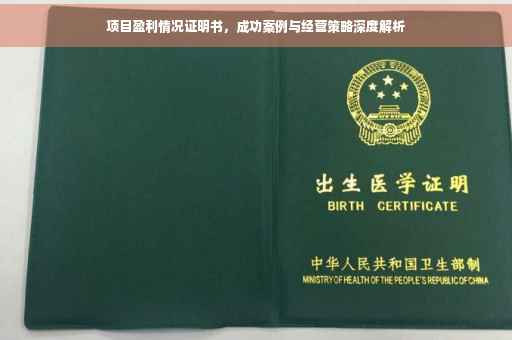 项目盈利情况证明书，成功案例与经营策略深度解析