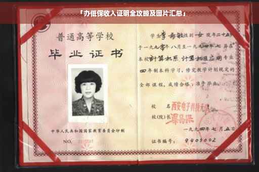 「办低保收入证明全攻略及图片汇总」