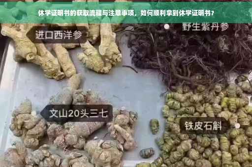 休学证明书的获取流程与注意事项，如何顺利拿到休学证明书？