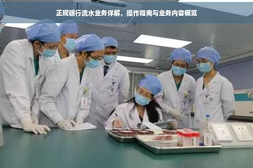 正规银行流水业务详解，操作指南与业务内容概览