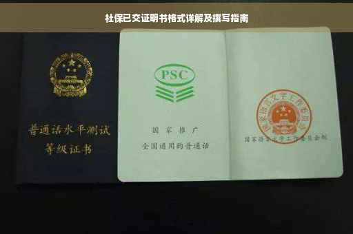 社保已交证明书格式详解及撰写指南