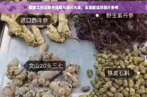 解除工伤证明书详解与图片大全，全面解读及图片参考