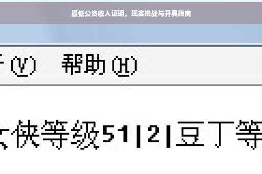 最低公资收入证明，现实挑战与开具指南