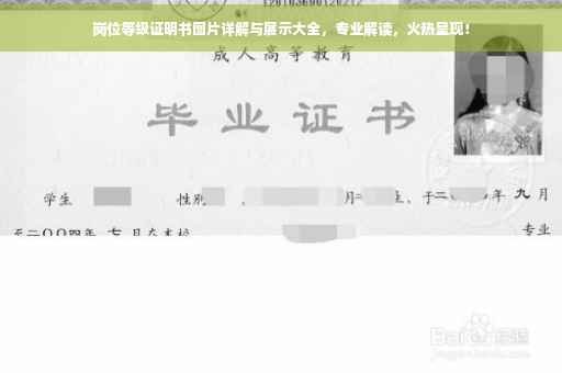 岗位等级证明书图片详解与展示大全，专业解读，火热呈现！