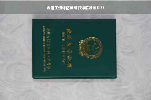香港工伤评估证明书详解及图片??