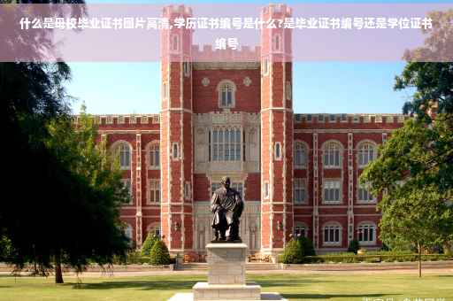 什么是母校毕业证书图片高清,学历证书编号是什么?是毕业证书编号还是学位证书编号