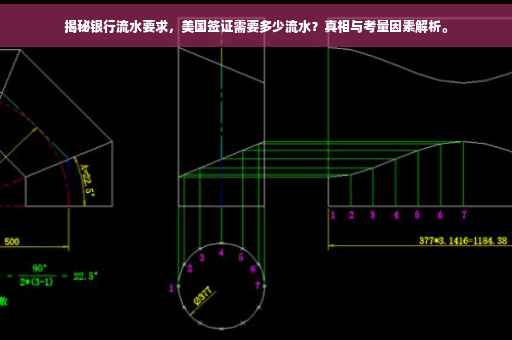 揭秘银行流水要求，美国签证需要多少流水？真相与考量因素解析。