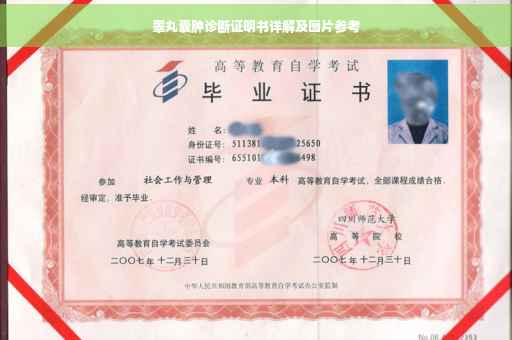 睾丸囊肿诊断证明书详解及图片参考