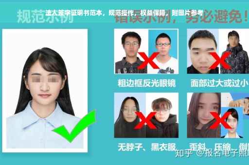 法人签字证明书范本，规范操作，权益保障，附图片参考