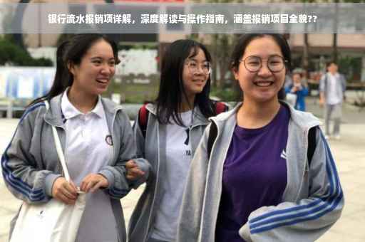 银行流水报销项详解，深度解读与操作指南，涵盖报销项目全貌??