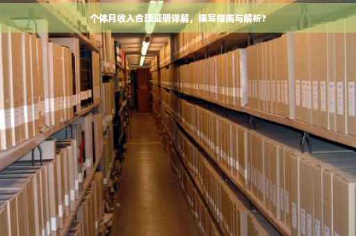 个体月收入合理证明详解，撰写指南与解析?