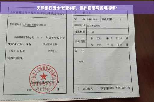 天津银行流水代理详解，操作指南与费用揭秘?