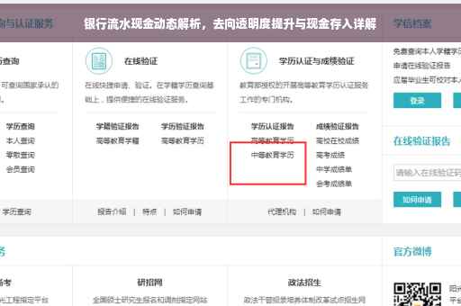 银行流水现金动态解析，去向透明度提升与现金存入详解