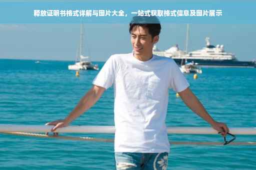释放证明书格式详解与图片大全，一站式获取格式信息及图片展示