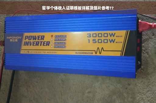 留学个体收入证明模板详解及图片参考??