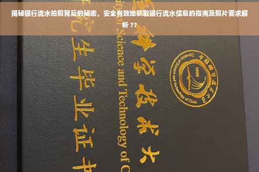 揭秘银行流水拍照背后的秘密，安全有效地获取银行流水信息的指南及照片要求解析 ??