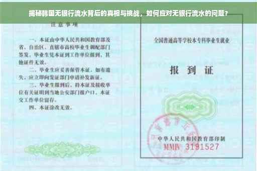 揭秘韩国无银行流水背后的真相与挑战，如何应对无银行流水的问题？