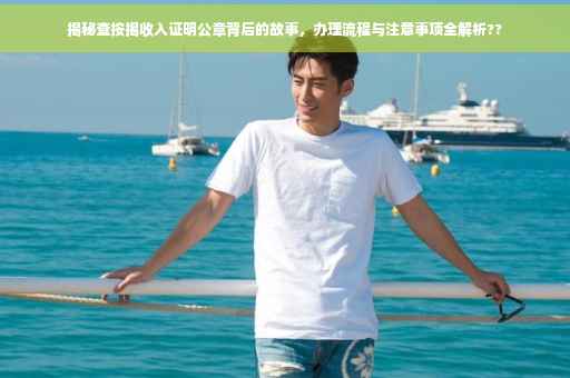 揭秘查按揭收入证明公章背后的故事，办理流程与注意事项全解析??