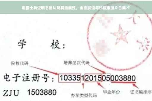 退役士兵证明书图片及其重要性，全面解读与珍藏版图片合集?️