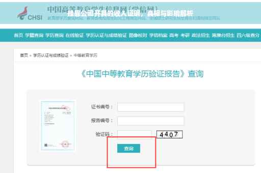 挂靠公司开具的收入证明，真相与影响解析