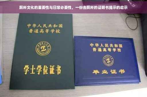 厕所文化的重要性与日常必要性，一份去厕所的证明书揭示的启示