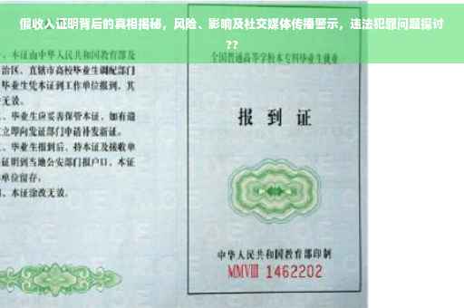 假收入证明背后的真相揭秘，风险、影响及社交媒体传播警示，违法犯罪问题探讨??