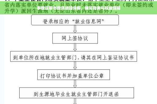 事故证明书救济途径详解，撰写指南与权益保障