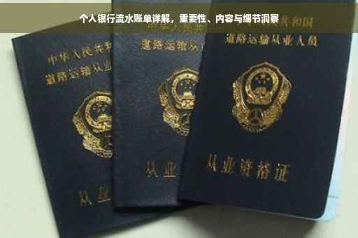 个人银行流水账单详解，重要性、内容与细节洞察