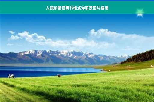 入院诊断证明书格式详解及图片指南