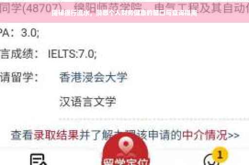 揭秘银行流水，洞悉个人财务健康的窗口与查询指南