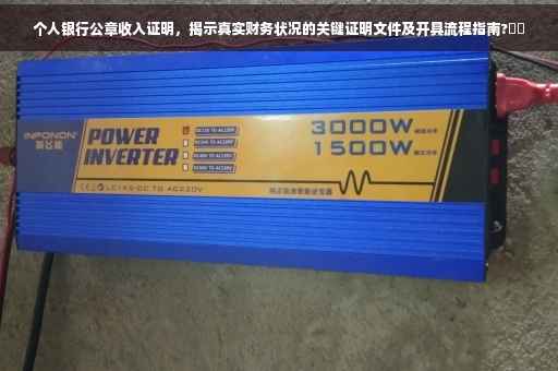 个人银行公章收入证明，揭示真实财务状况的关键证明文件及开具流程指南?⚡️