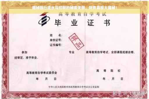 揭秘银行流水与扣税的秘密关联，财务真相大揭秘！