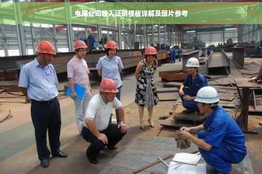电网公司收入证明模板详解及图片参考