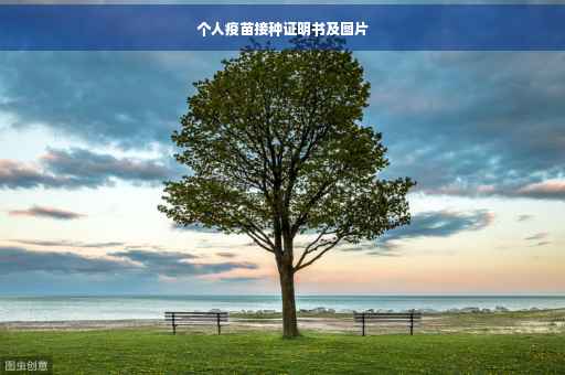 个人疫苗接种证明书及图片