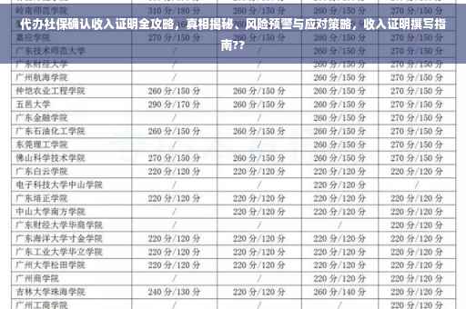 代办社保确认收入证明全攻略，真相揭秘、风险预警与应对策略，收入证明撰写指南??