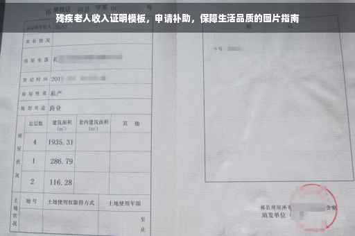 残疾老人收入证明模板，申请补助，保障生活品质的图片指南
