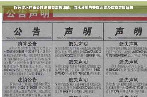 银行流水的重要性与审查流程详解，流水质量的关键要素及审查难度解析