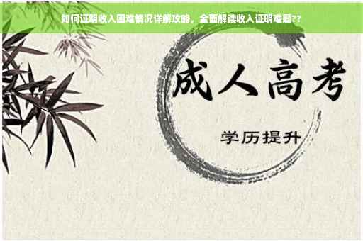 如何证明收入困难情况详解攻略，全面解读收入证明难题??