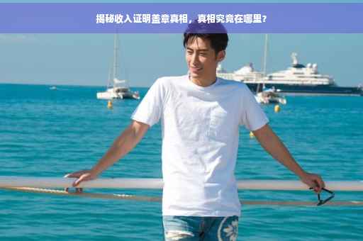 揭秘收入证明盖章真相，真相究竟在哪里？