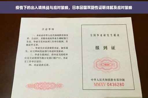 疫情下的出入境挑战与应对策略，日本回国双阴性证明详解及应对策略