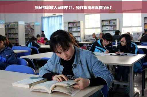 揭秘邯郸收入证明中介，操作指南与真相探索?